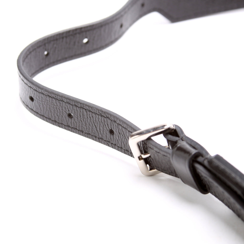 Dauphine Bumbag Giant Reverse Monogram