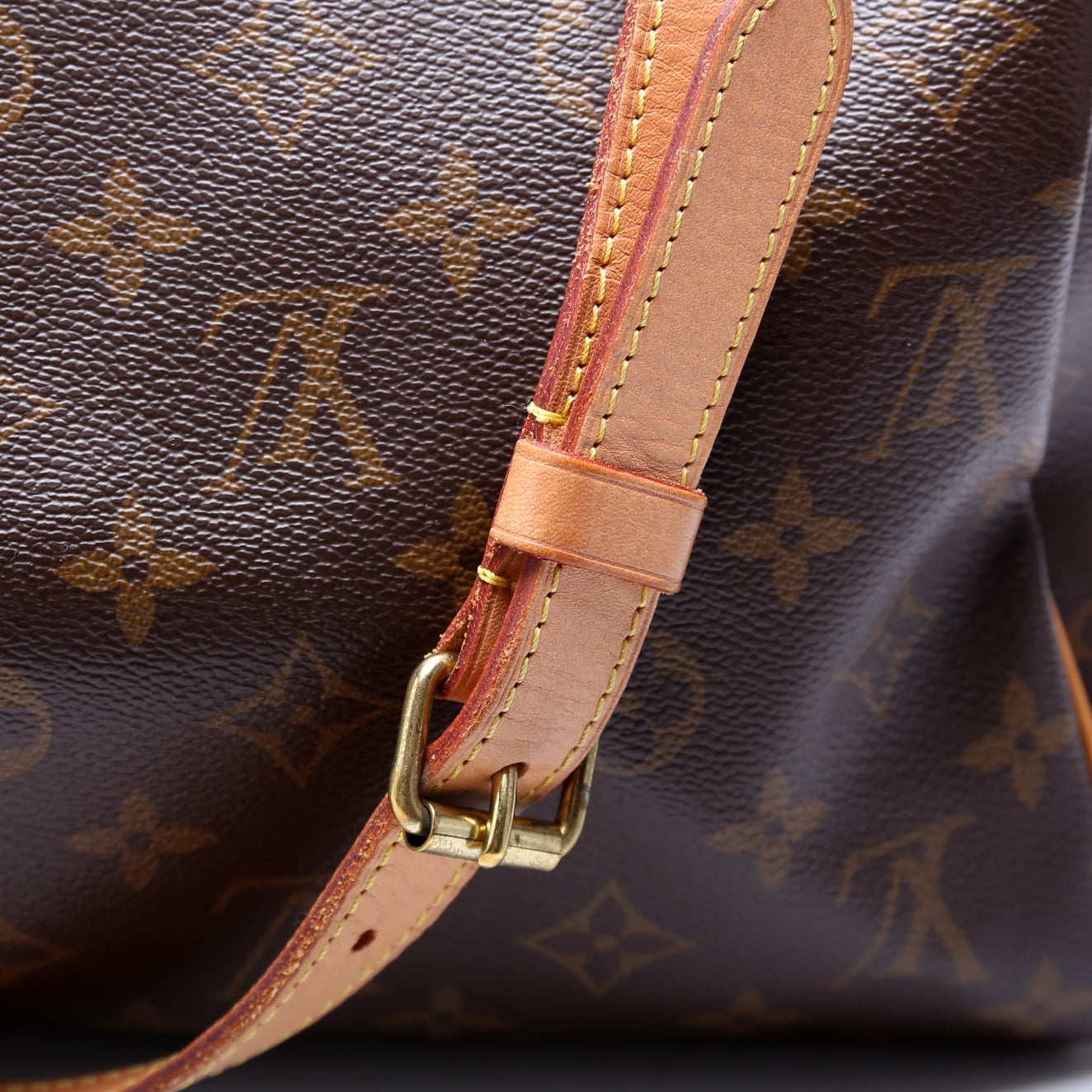 Speedy 30 Bandouliere Monogram