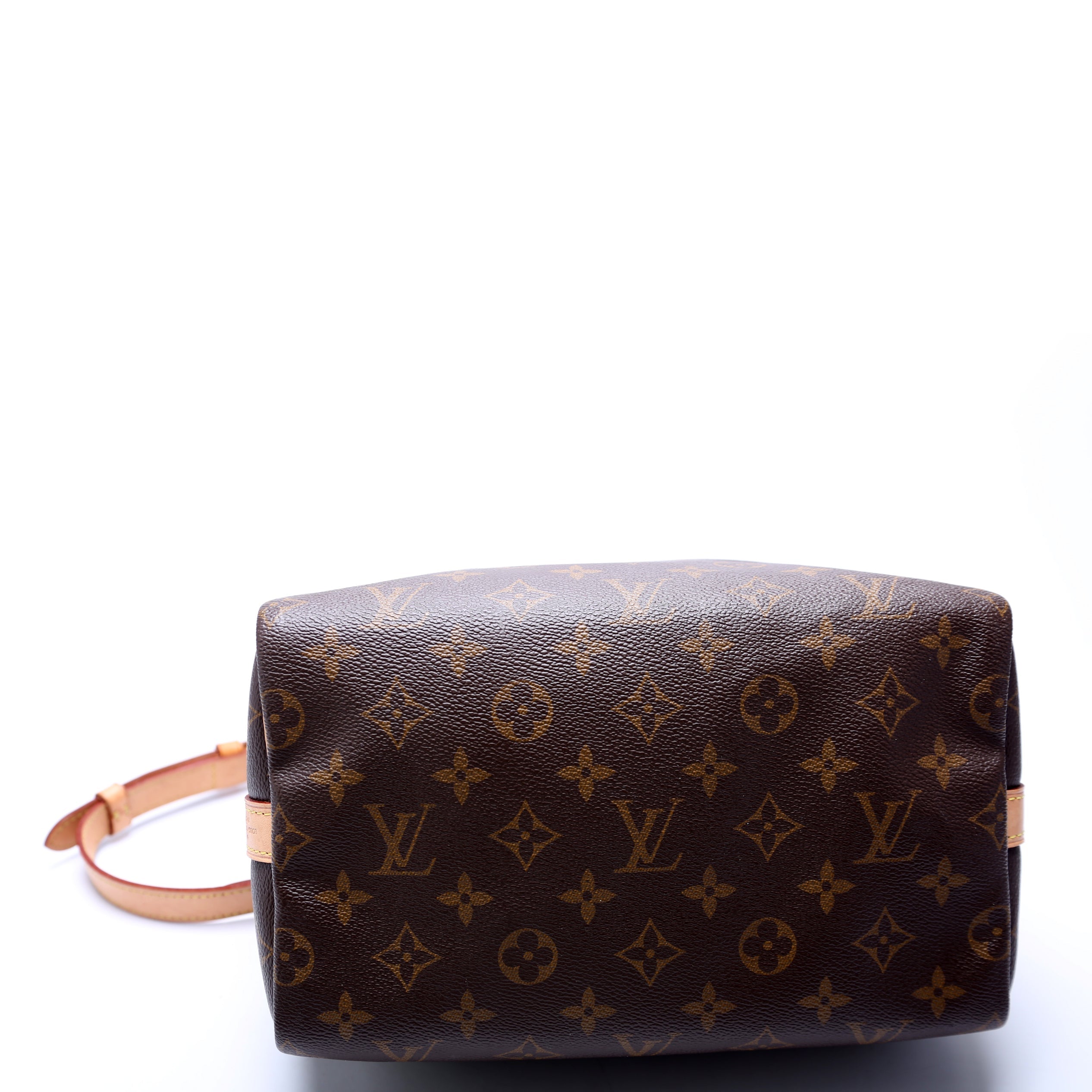 Speedy 25 Bandouliere Monogram