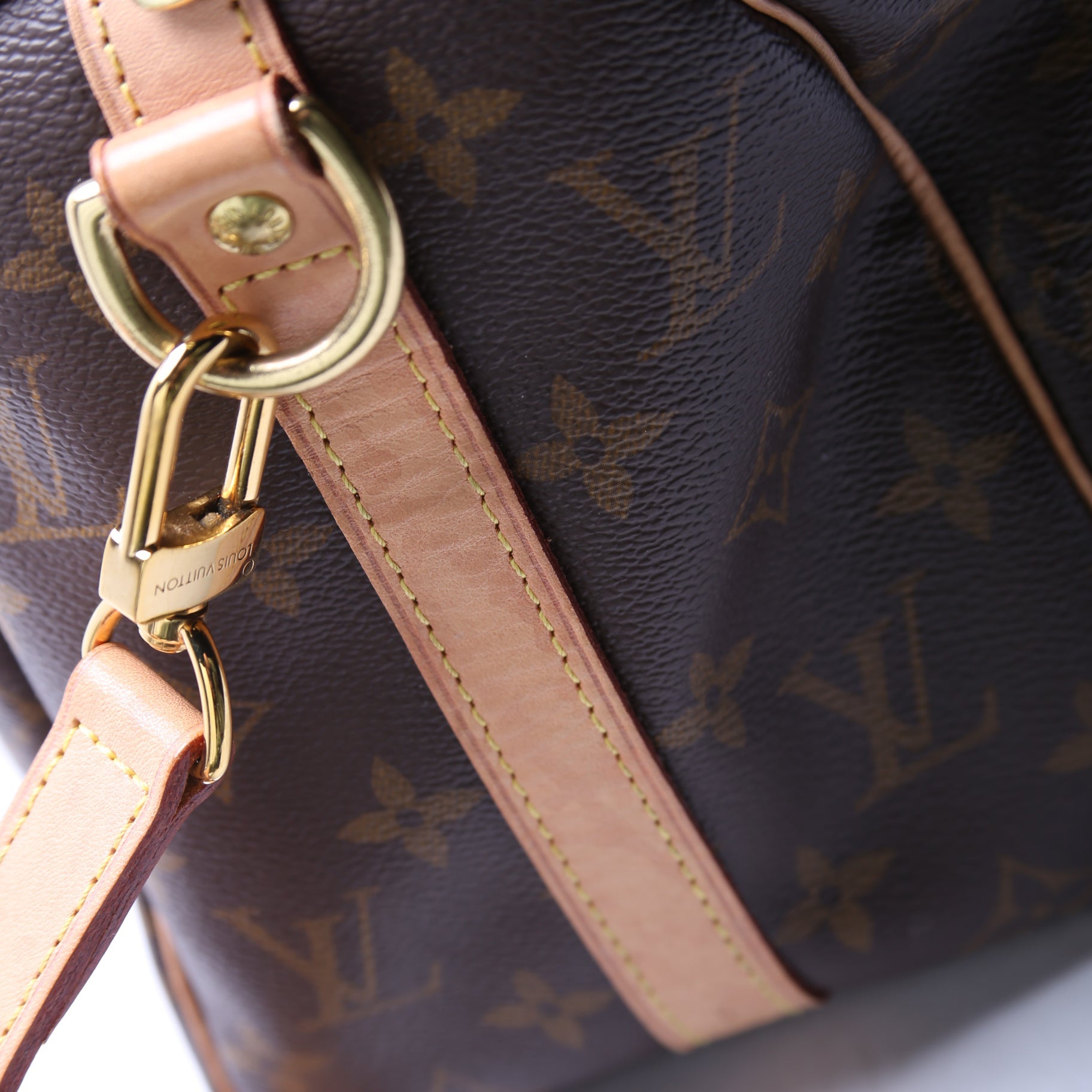 Speedy 25 Bandouliere Monogram