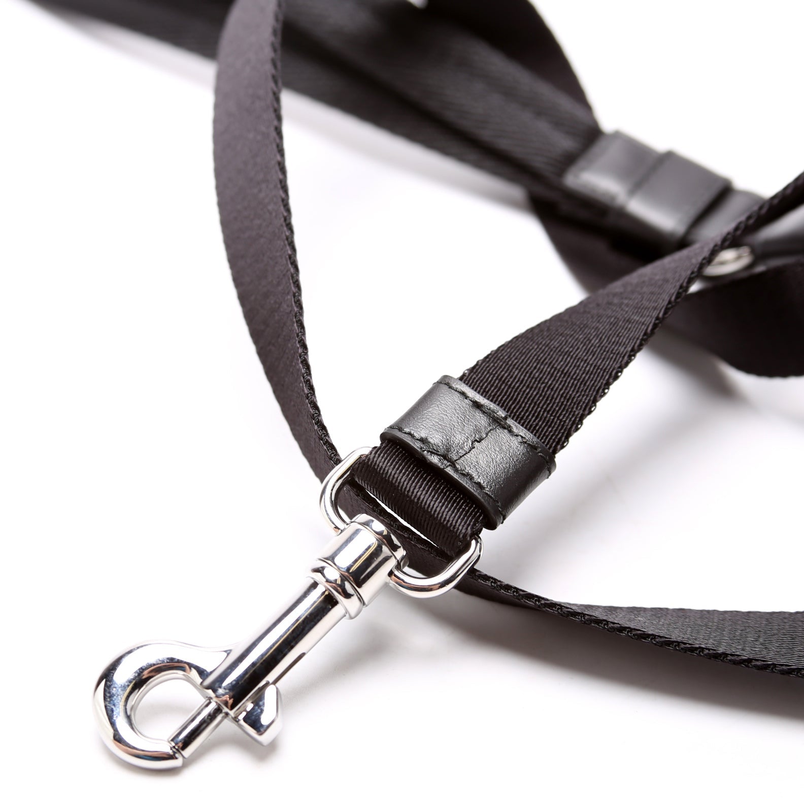 Re-Nylon Pet Leash Black