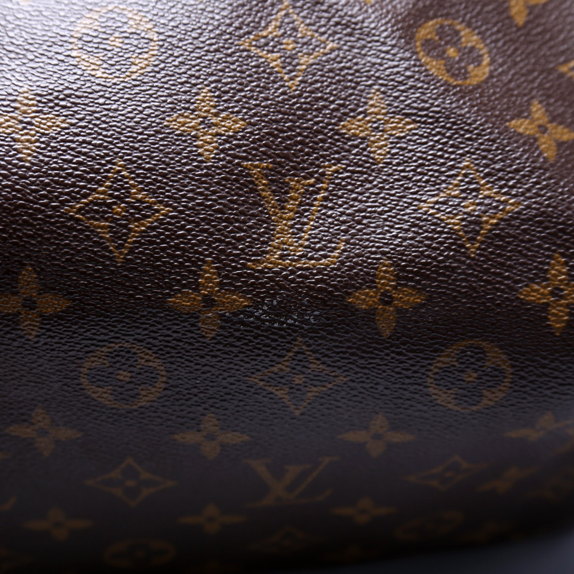 Speedy 30 Monogram