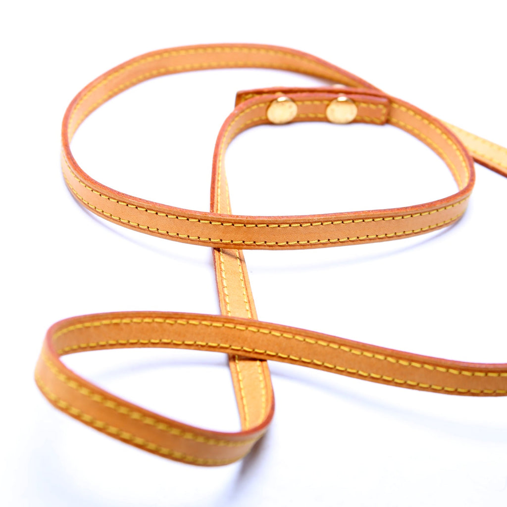 Pochette Twin PM Monogram