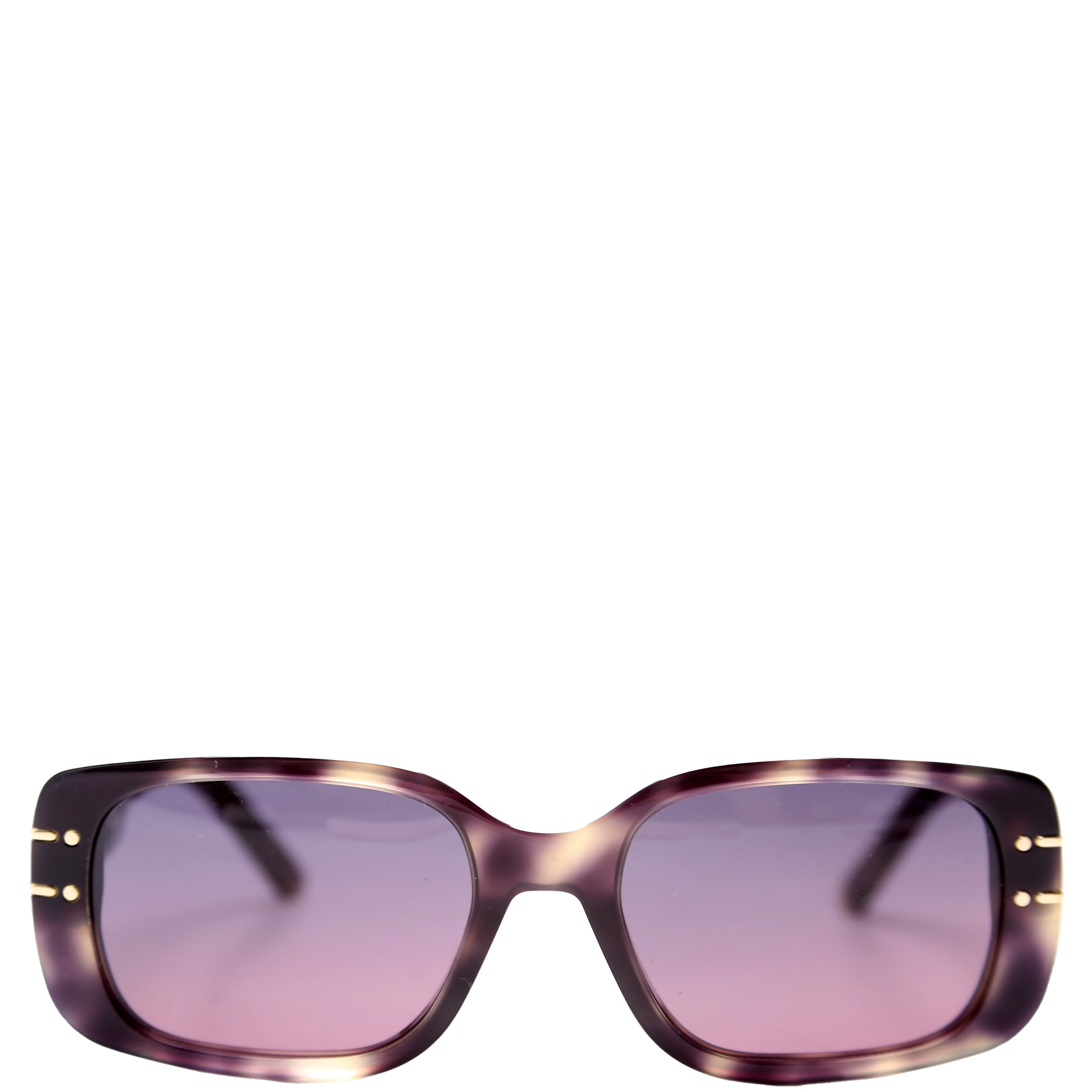 S121 Diorsignature Sunglasses Brown