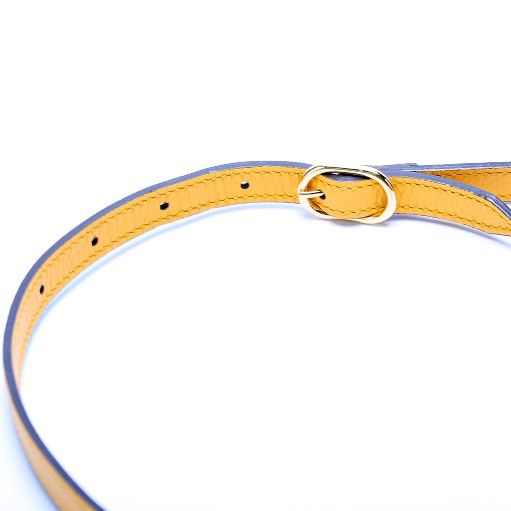 550621 Ophidia Flora Bucket Yellow