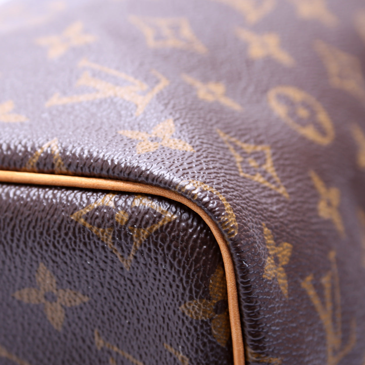 Speedy 30 Bandouliere Monogram