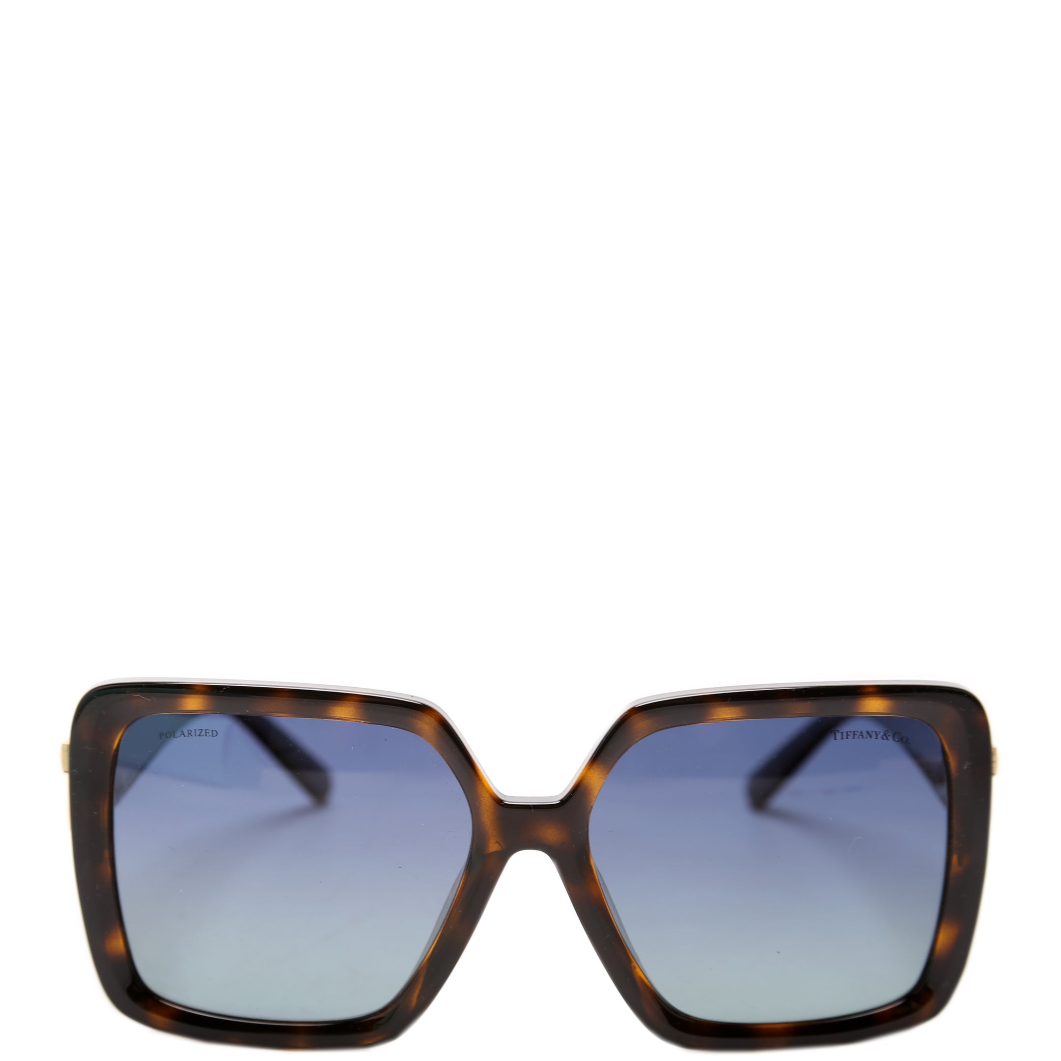 TF 4206U Polarized Square Sunglasses Brown