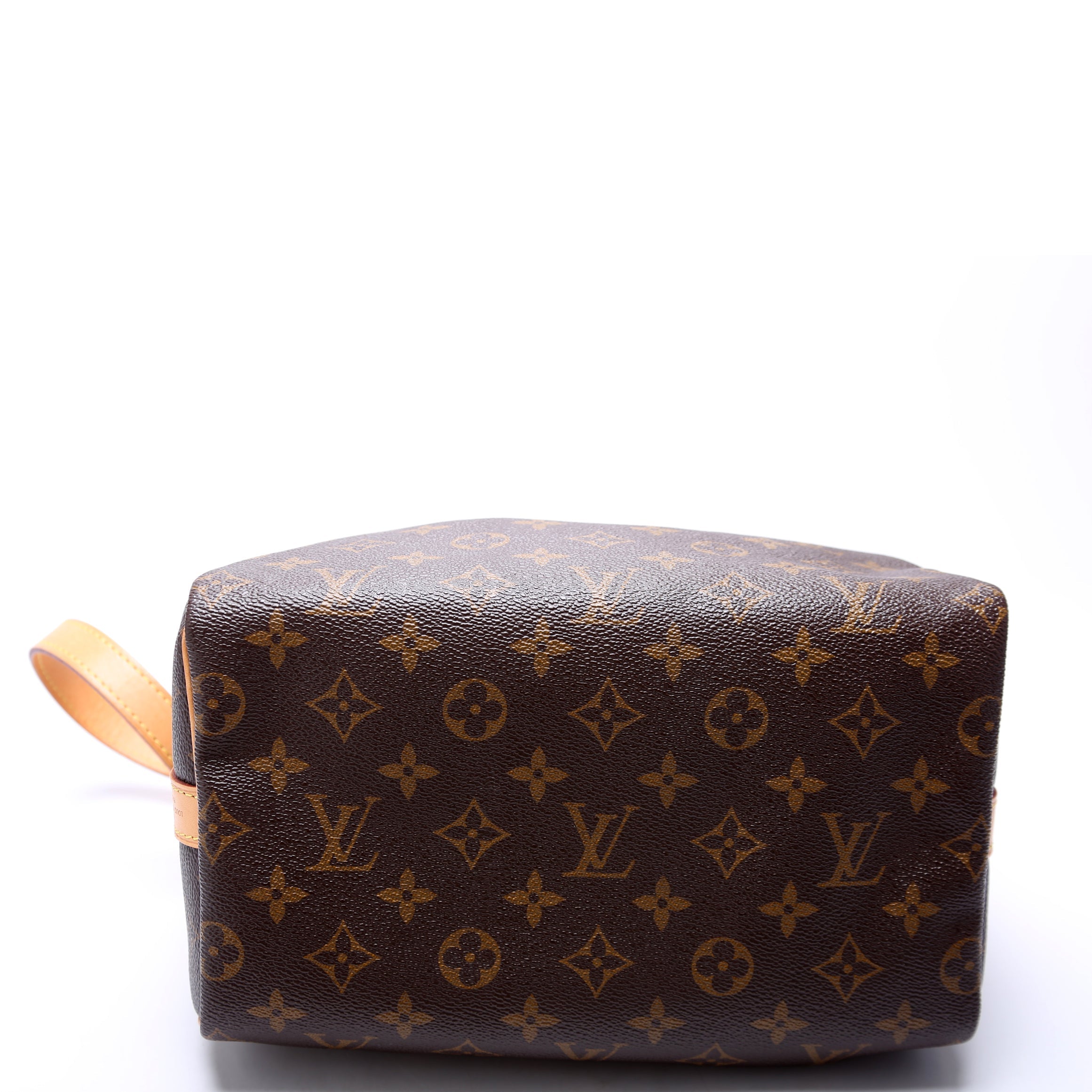Speedy 25 Bandouliere Monogram