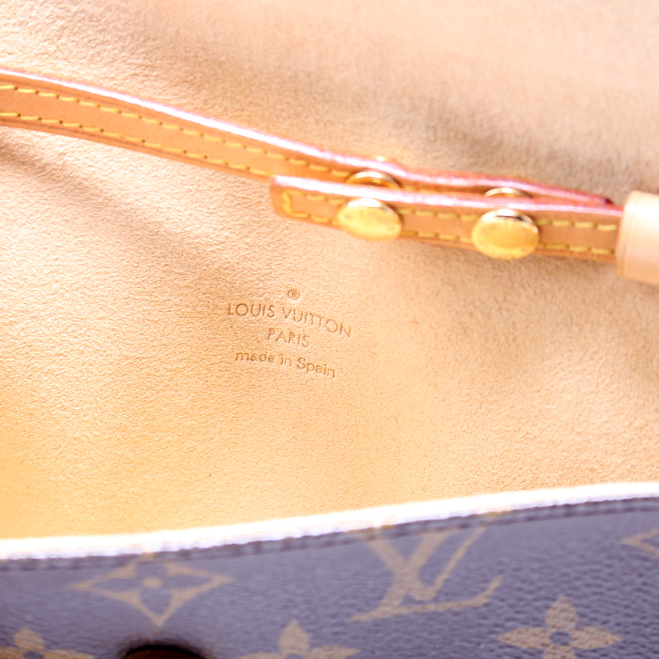 Pochette Twin PM Monogram
