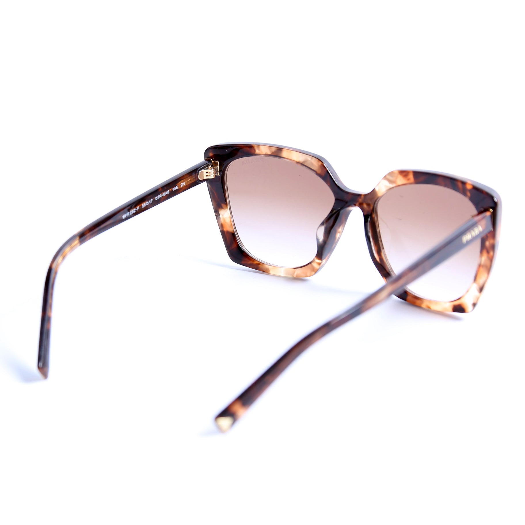 SPR 23Z-F Square Acetate Sunglasses Brown