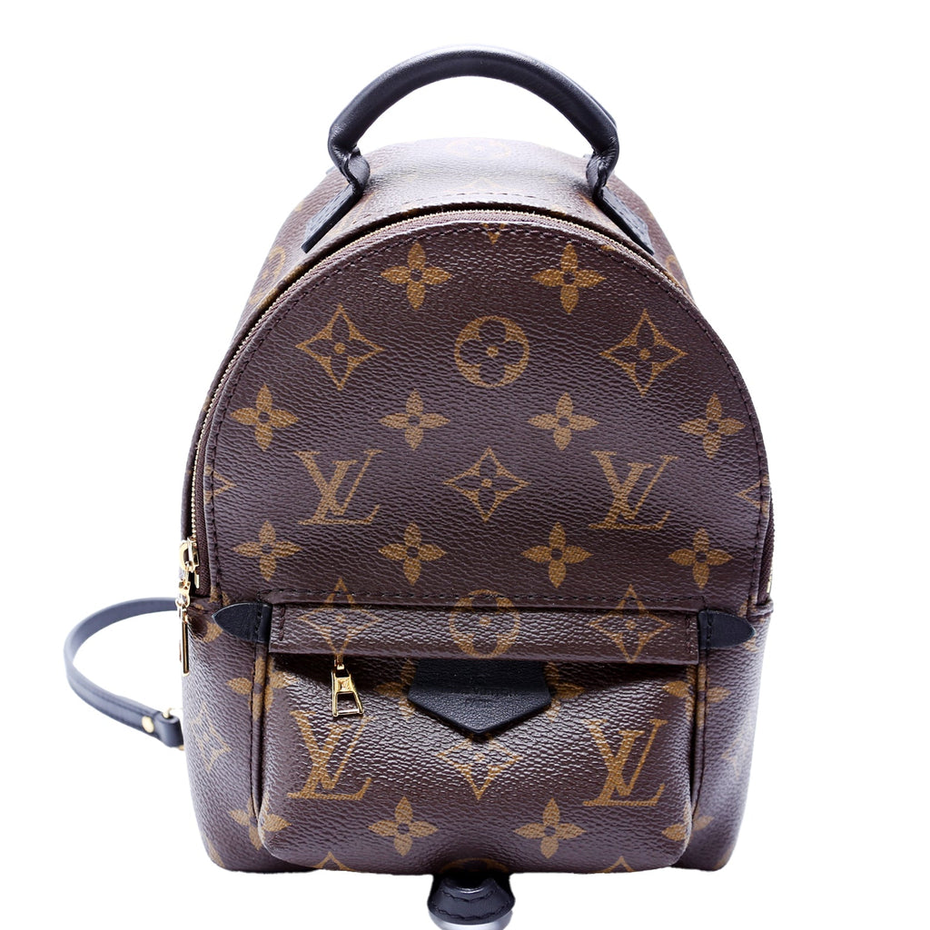 Palm Springs Mini NV Monogram