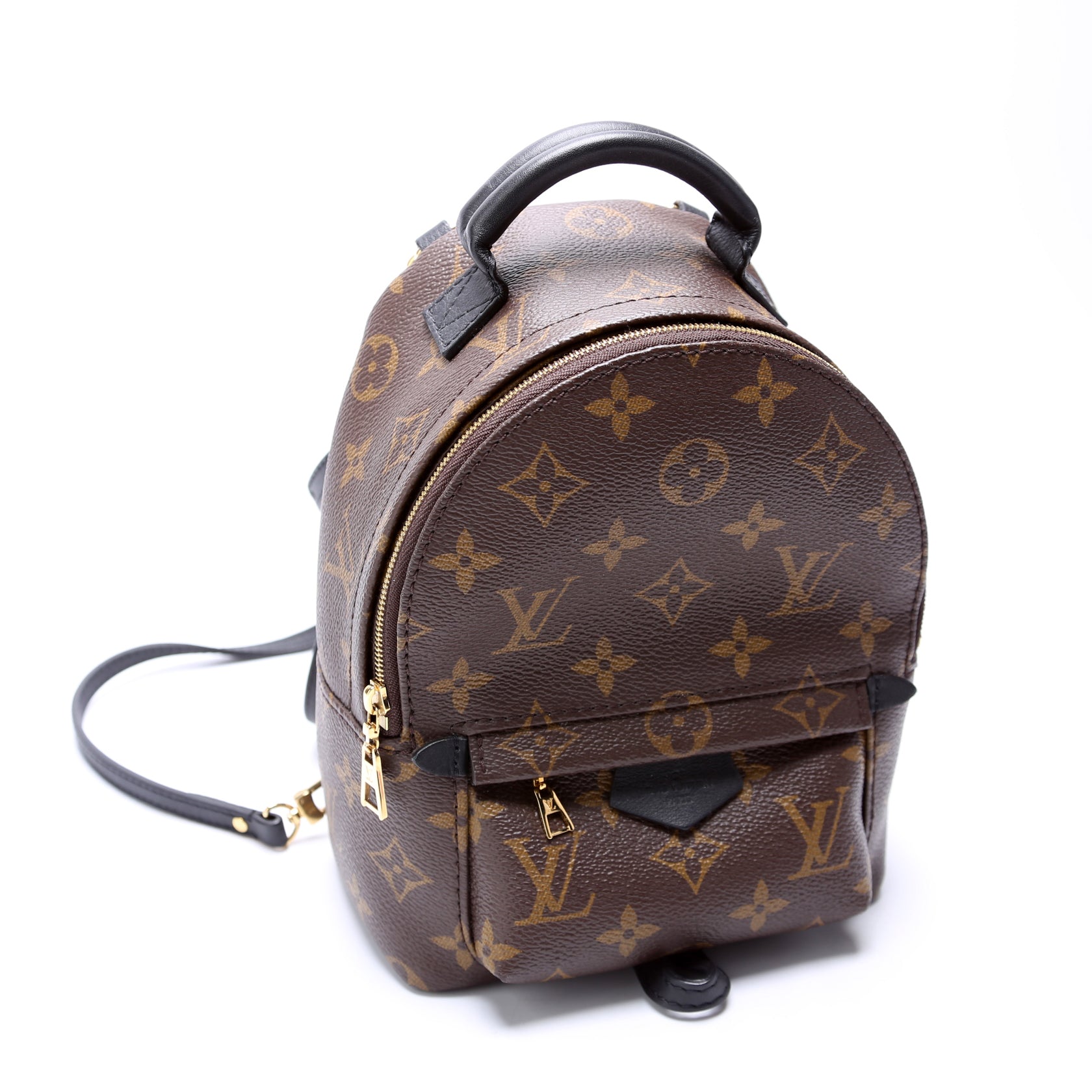 Palm Springs Mini NV Monogram