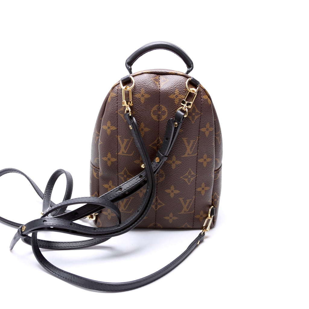 Palm Springs Mini NV Monogram