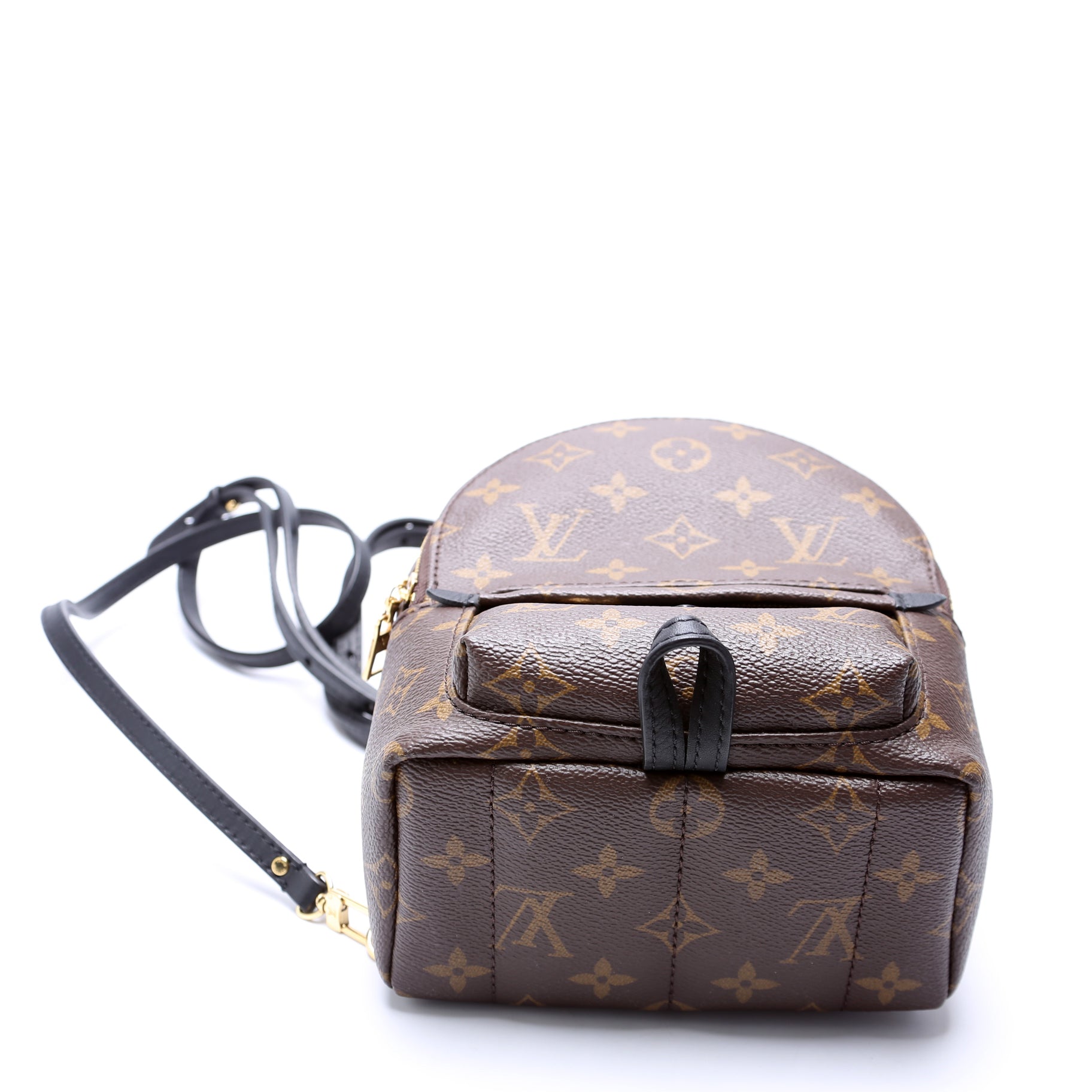 Palm Springs Mini NV Monogram