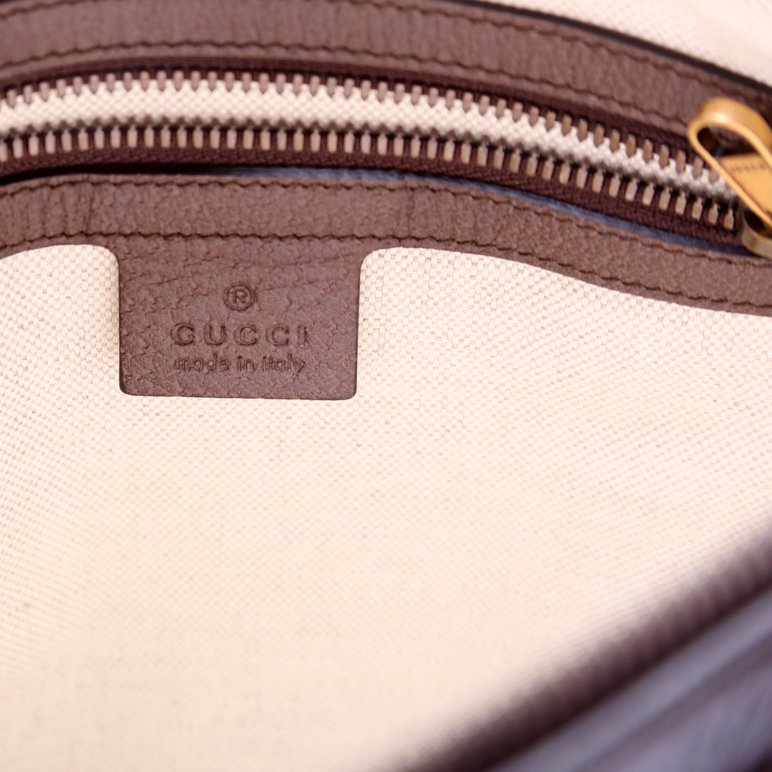 547926 Ophidia Messenger Brown