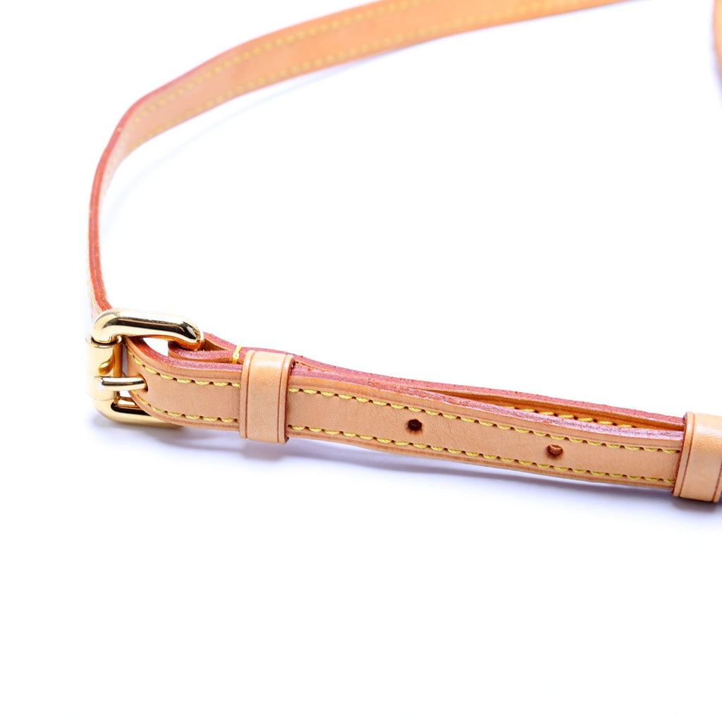 Palermo PM Monogram