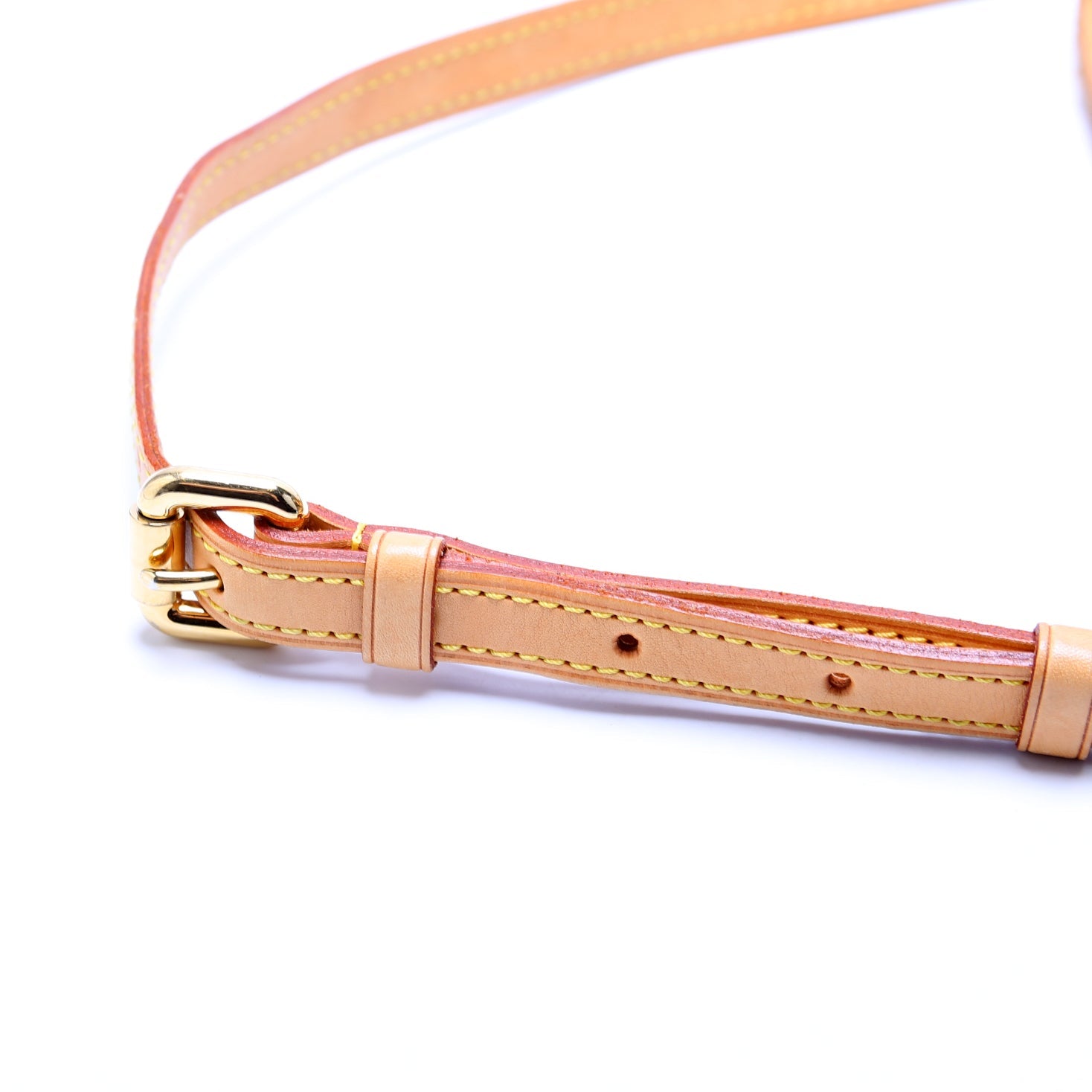 Palermo PM Monogram