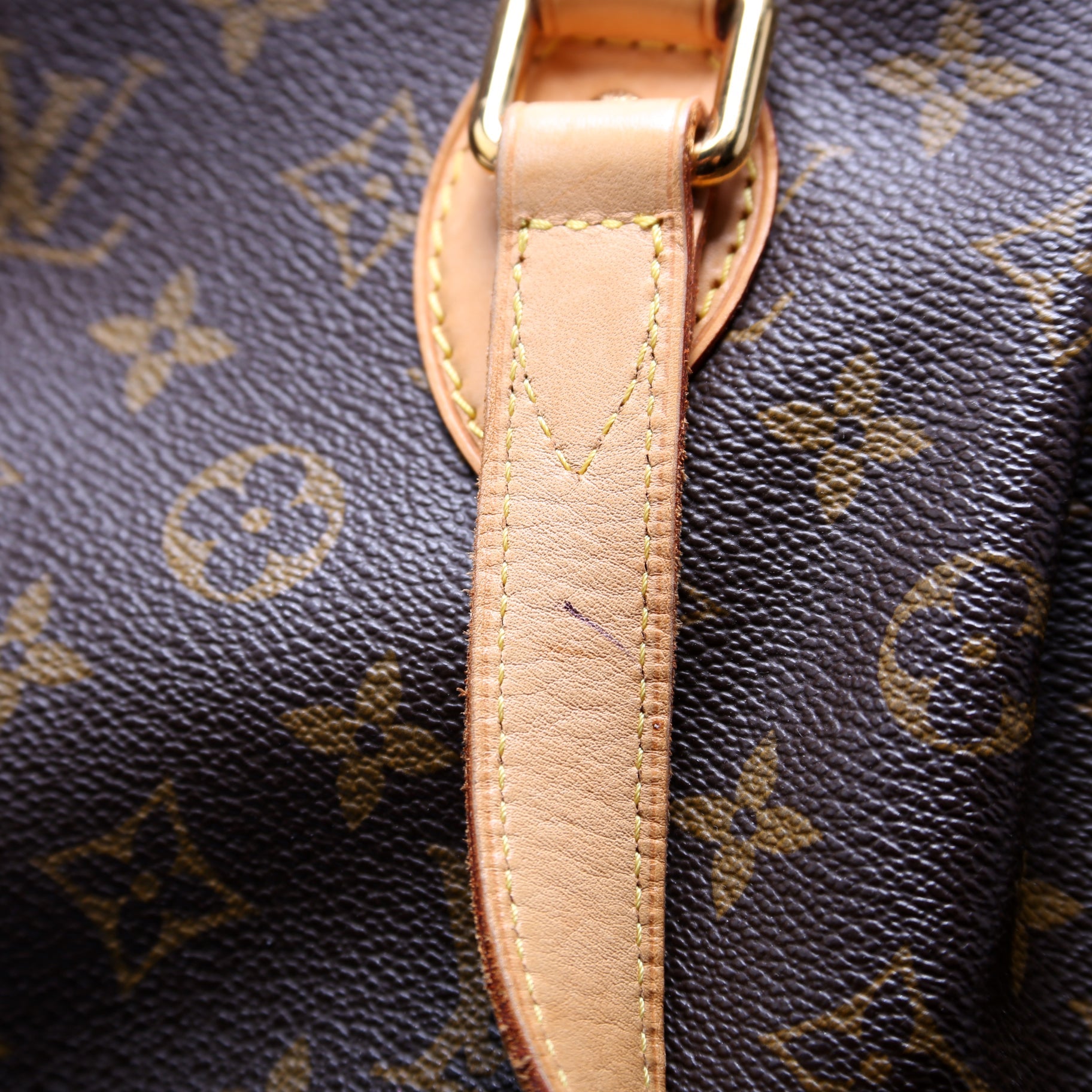 Palermo PM Monogram