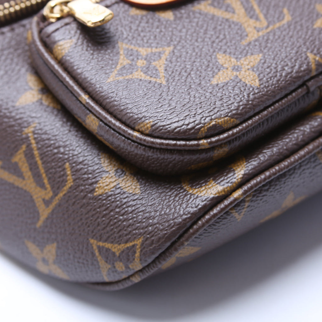 Mini Bumbag Monogram