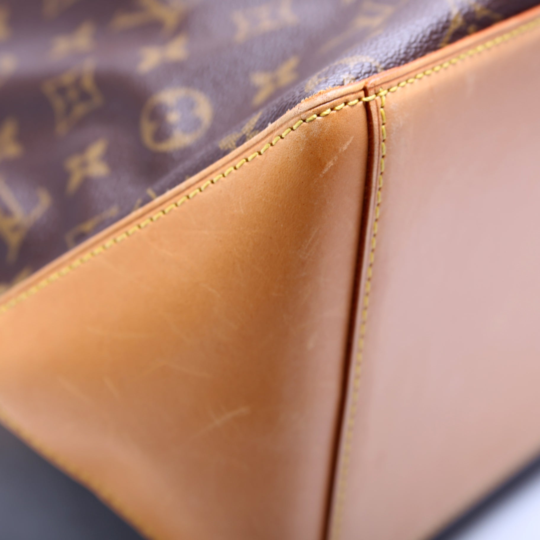 Cabas Mezzo Monogram