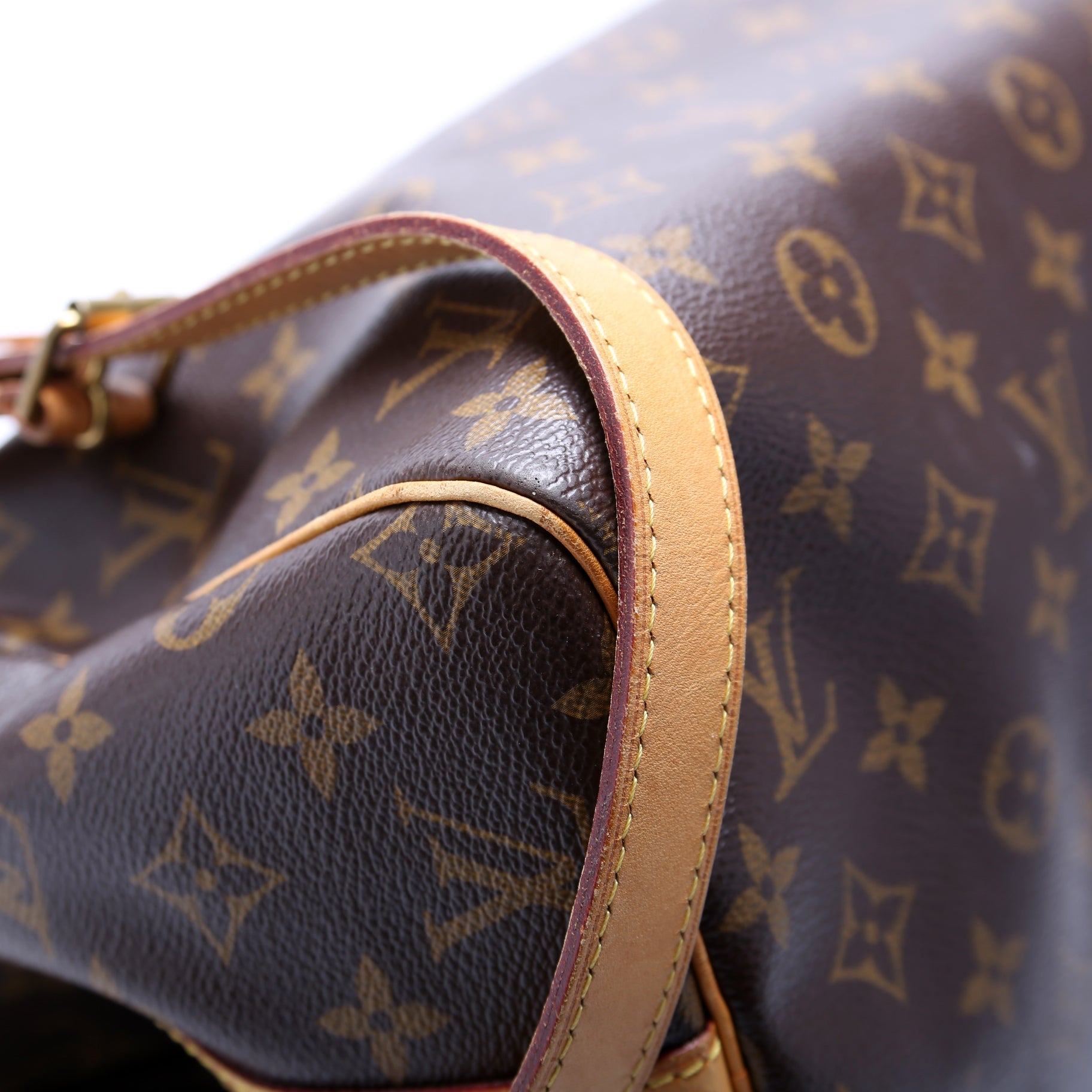 Speedy 30 Bandouliere Monogram