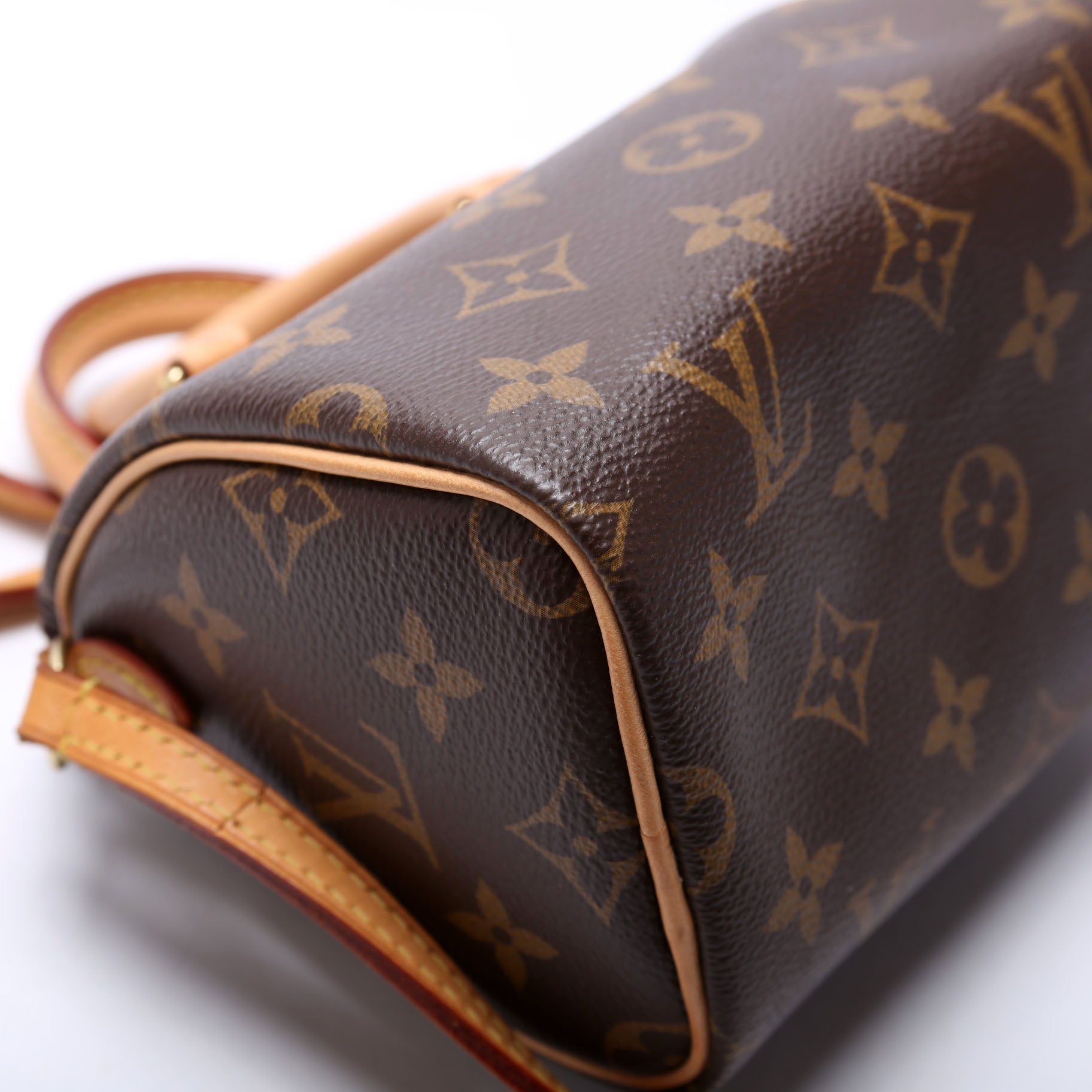 Nano Speedy Monogram