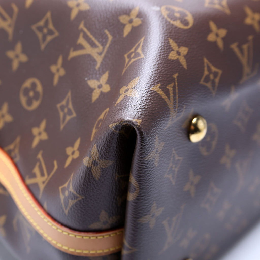 Carryall MM NM Monogram