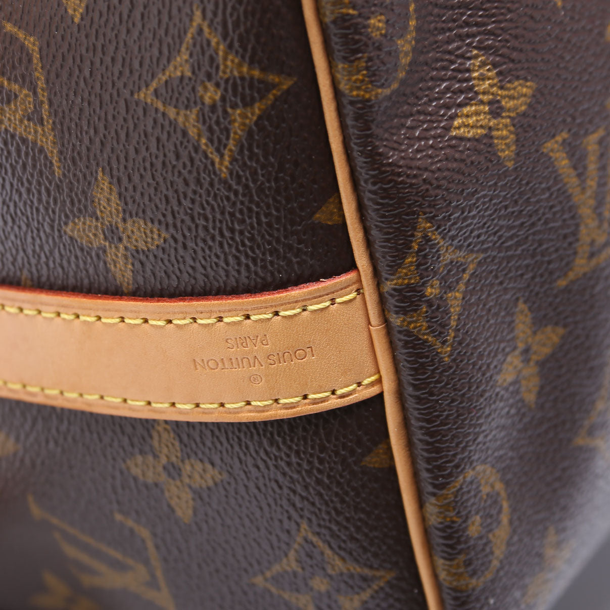 Speedy 25 W/Strap Monogram