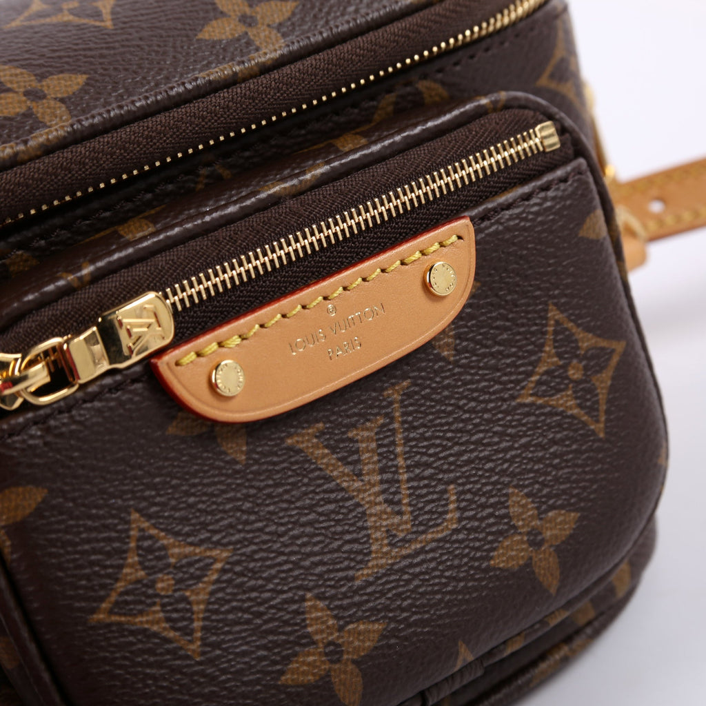 Mini Bumbag Monogram