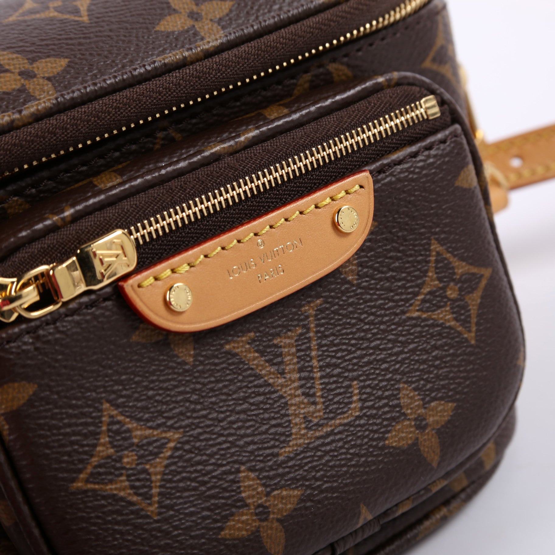 Mini Bumbag Monogram