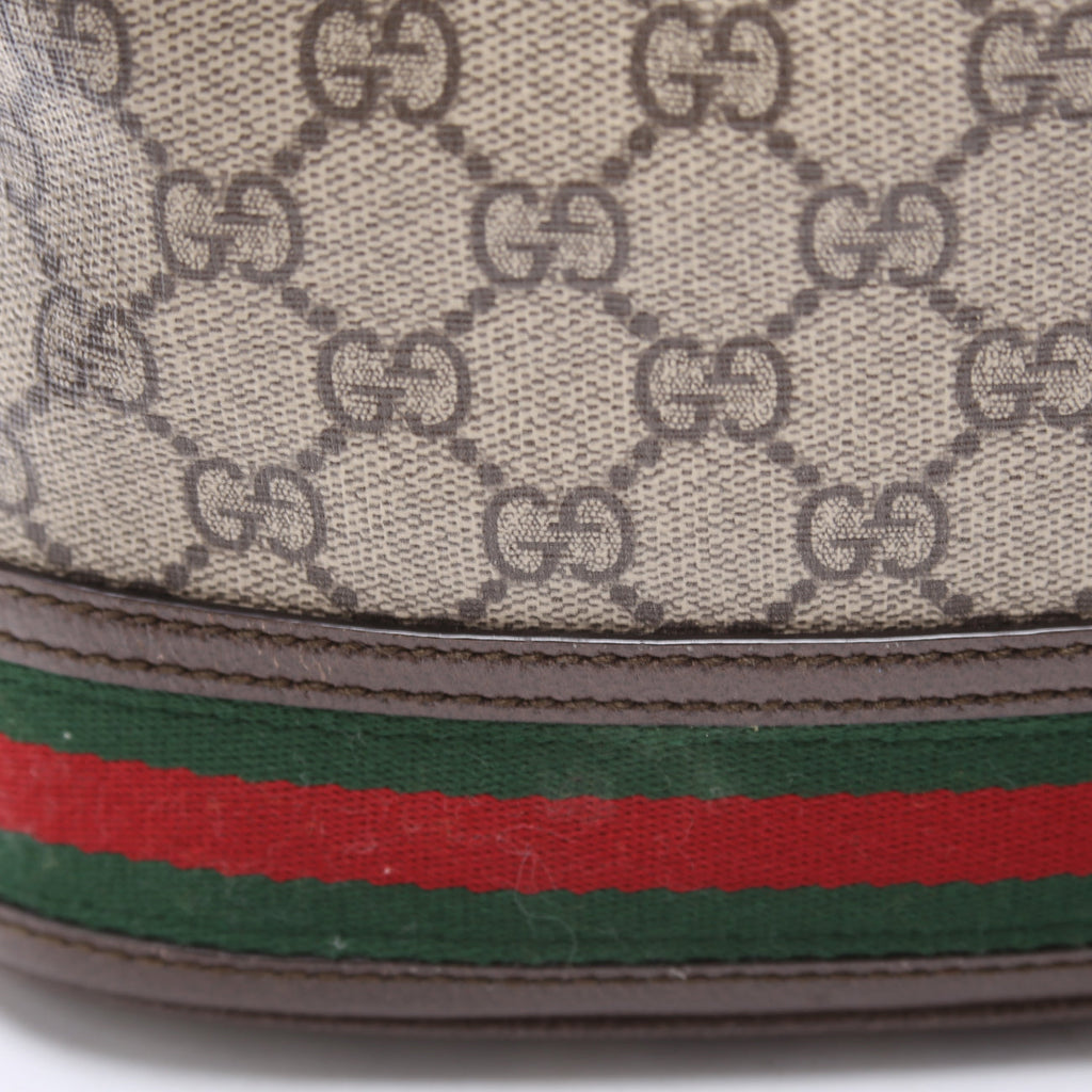 550621 Ophidia Flora Bucket Brown