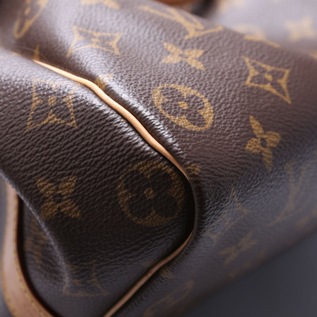Speedy 35 Bandouliere Monogram