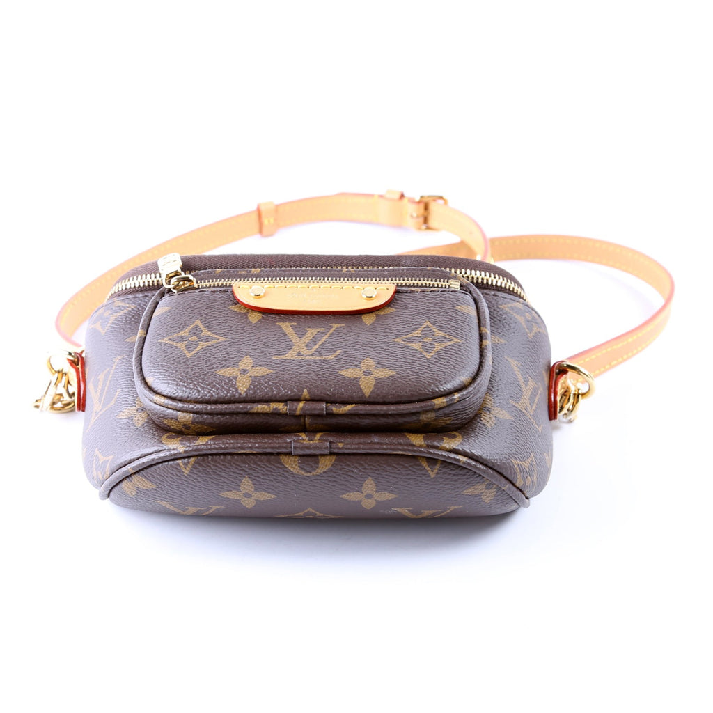 Mini Bumbag Monogram
