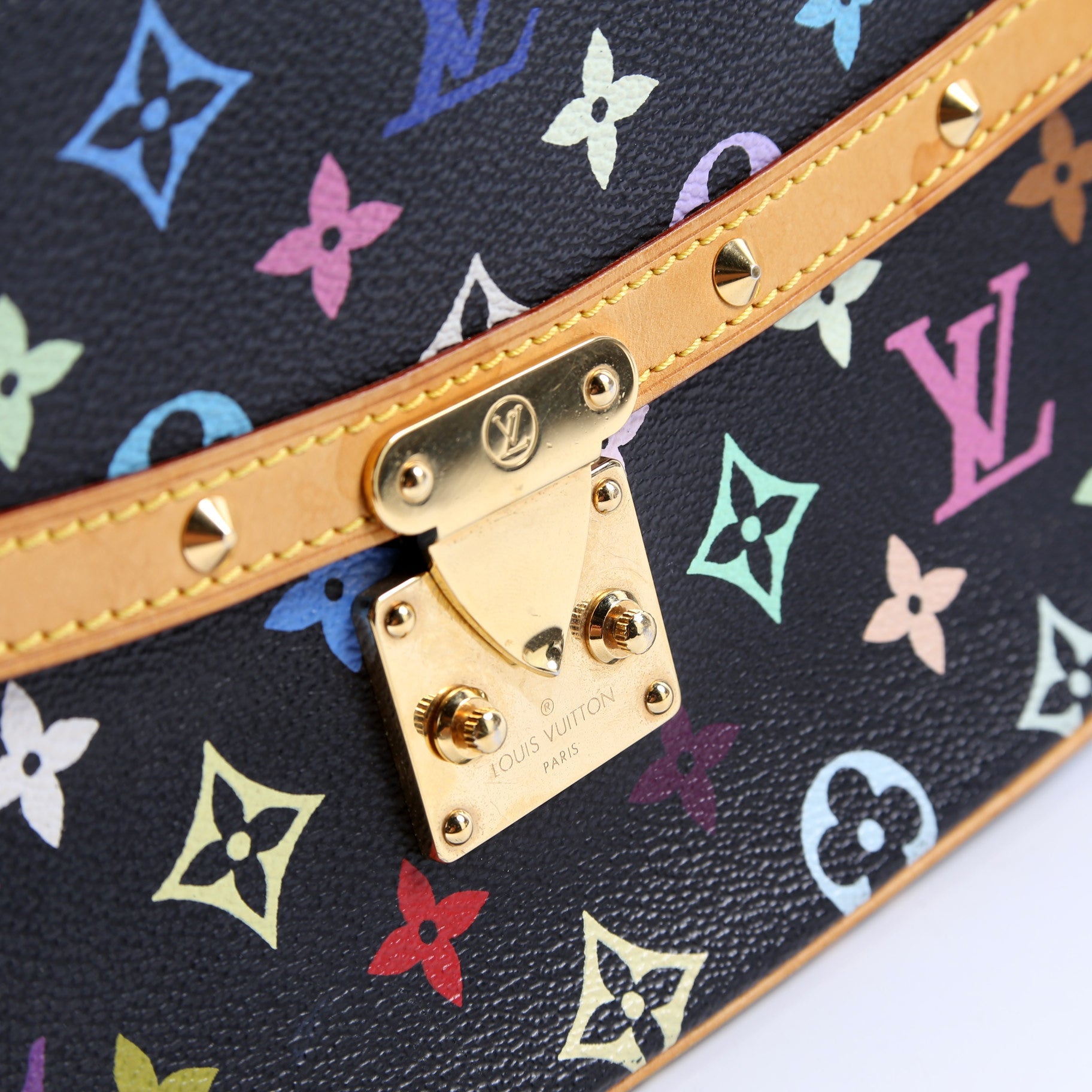 Sologne Multicolor Monogram
