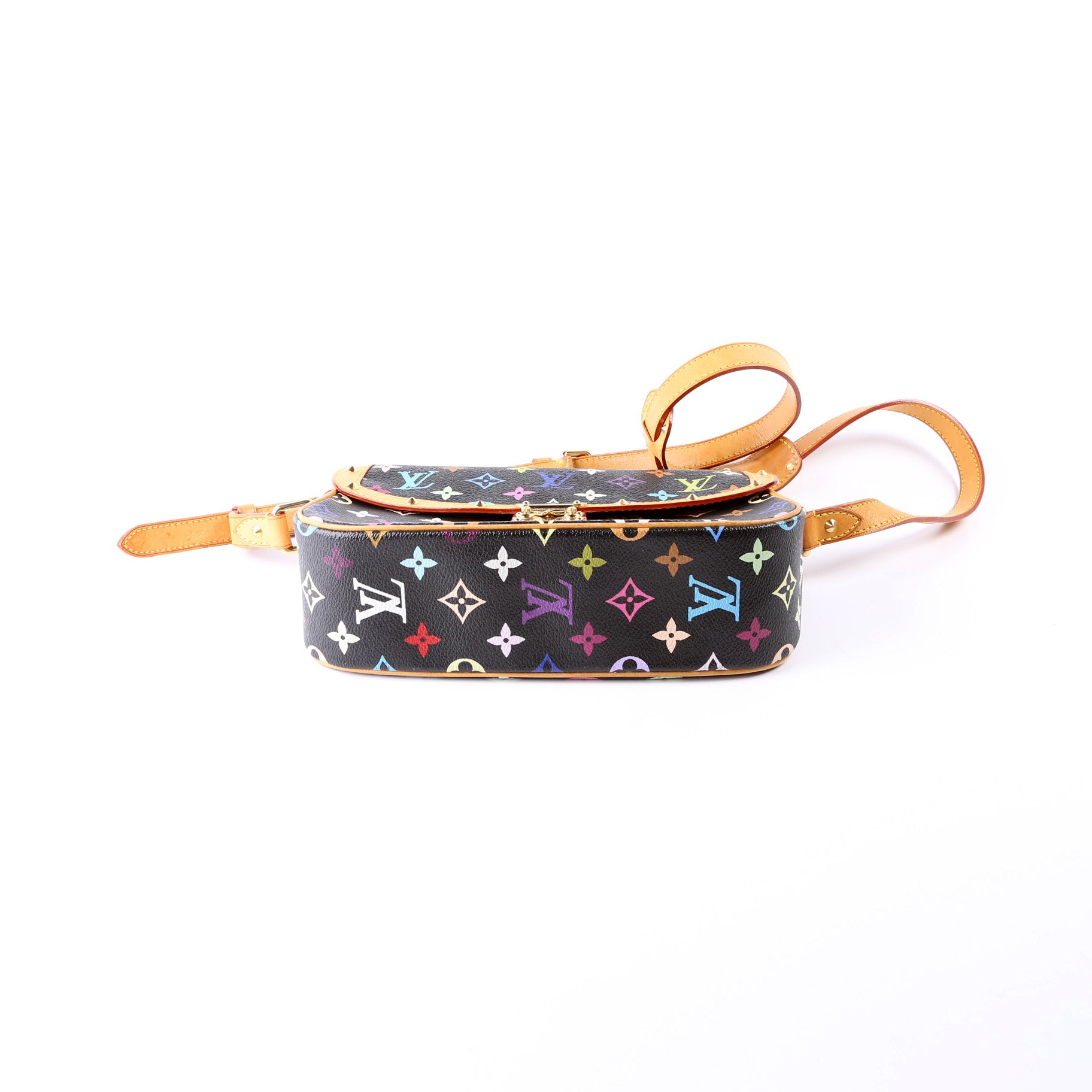 Sologne Multicolor Monogram