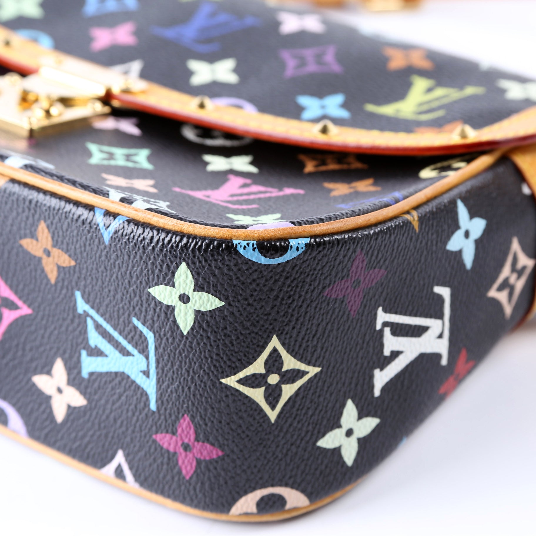 Sologne Multicolor Monogram