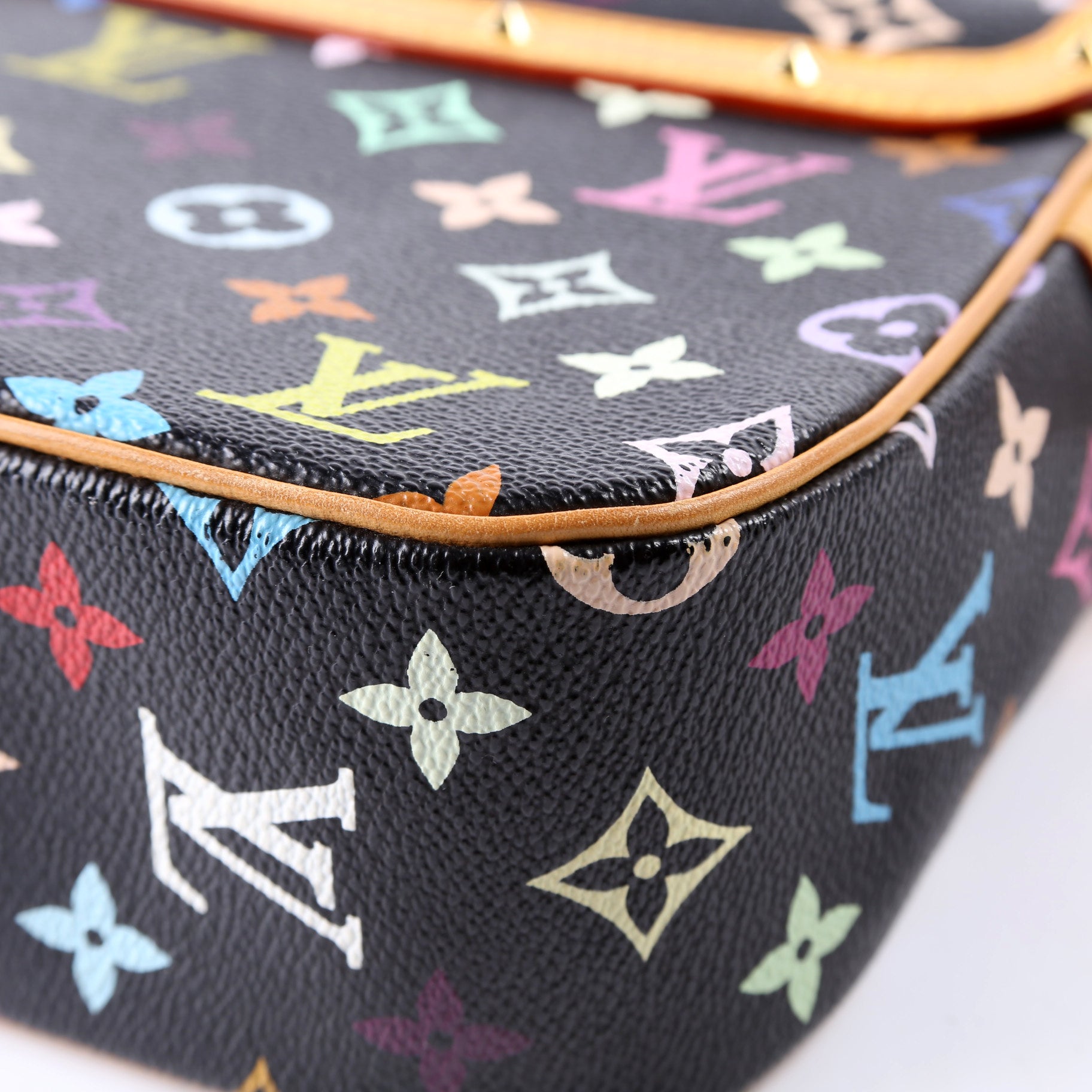 Sologne Multicolor Monogram