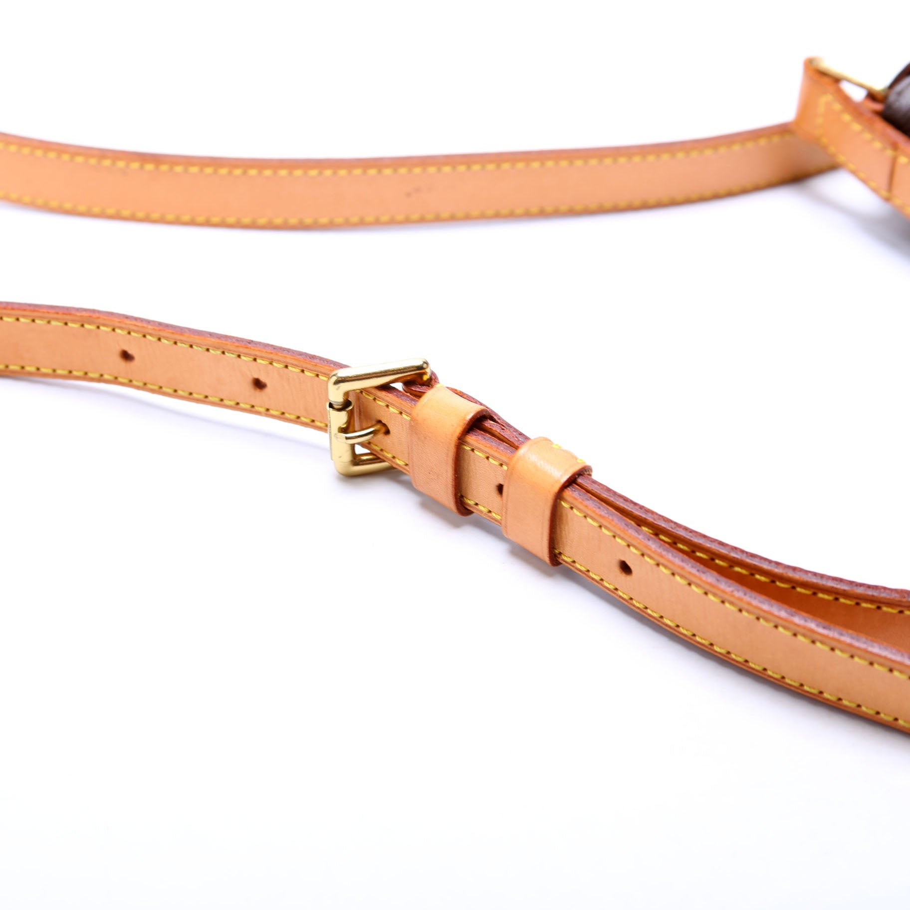 Musette Salsa Long Monogram