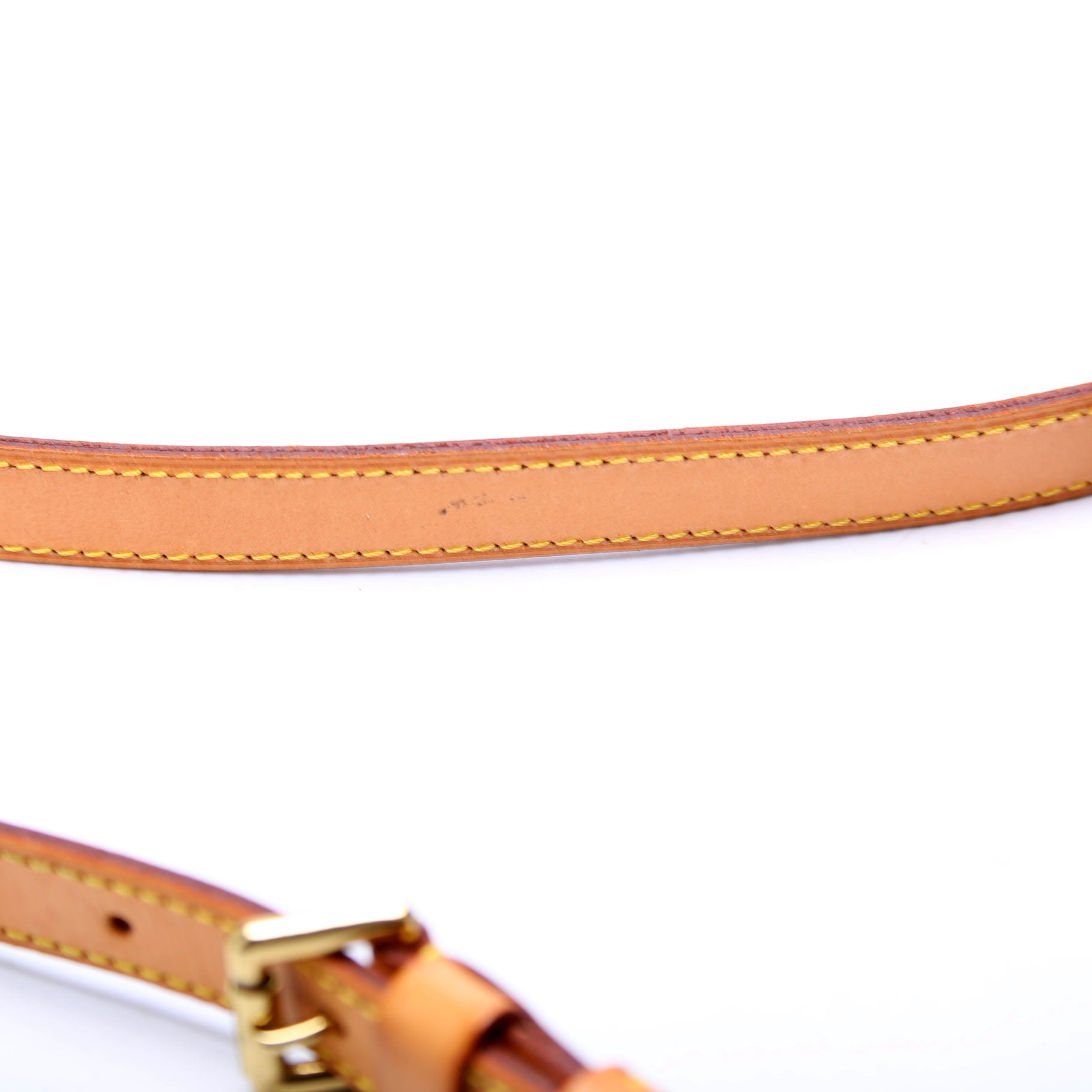 Musette Salsa Long Monogram