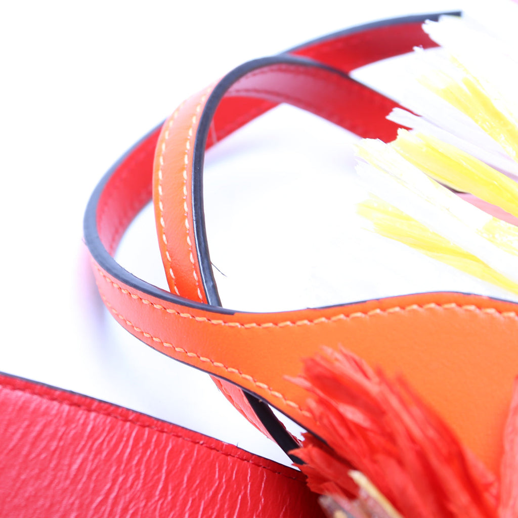 Frangibus Fringe Raffia Small Tote Multicolor