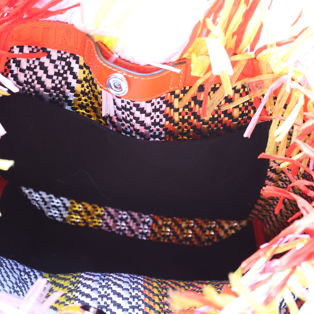 Frangibus Fringe Raffia Small Tote Multicolor