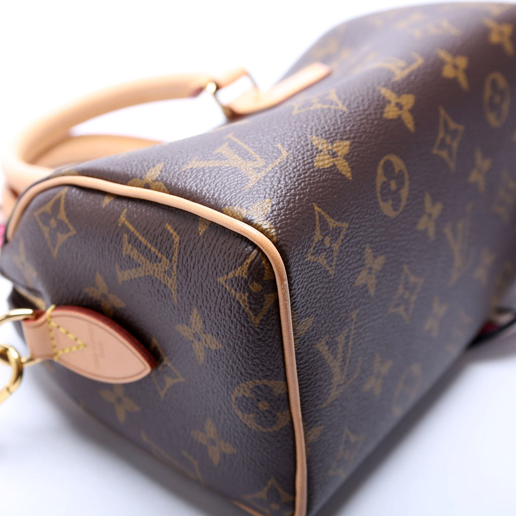 Speedy 20 Bandouliere Monogram