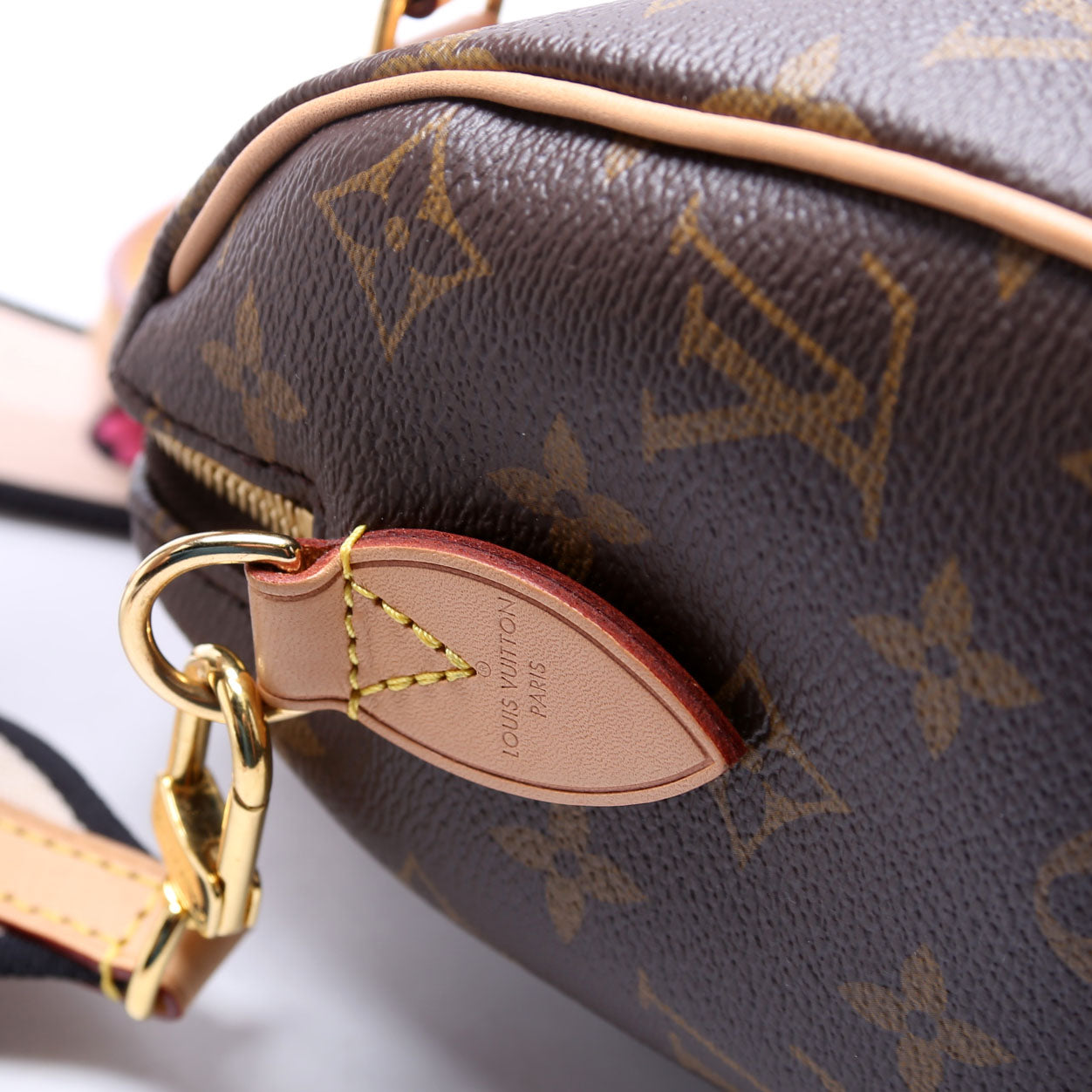 Speedy 20 Bandouliere Monogram