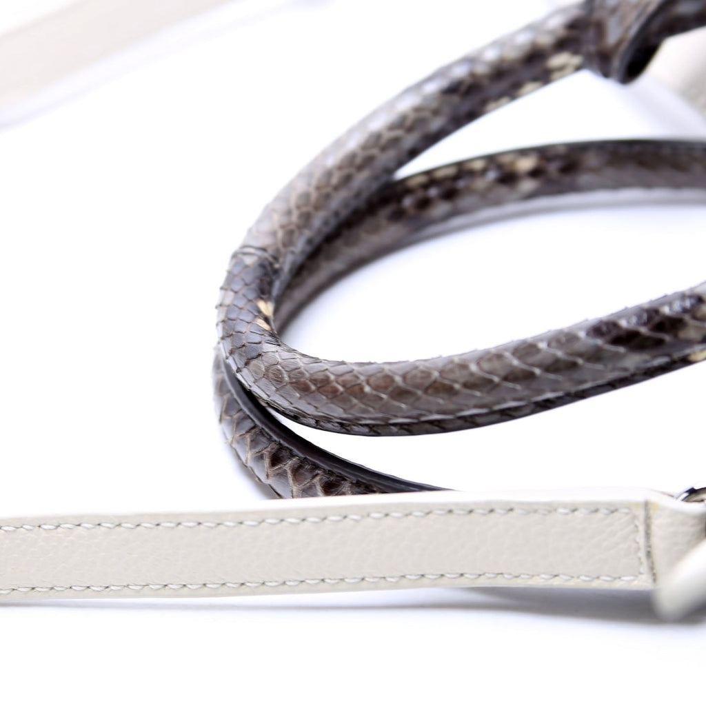 Sac De Jour Baby Calfskin/Snakeskin 421863