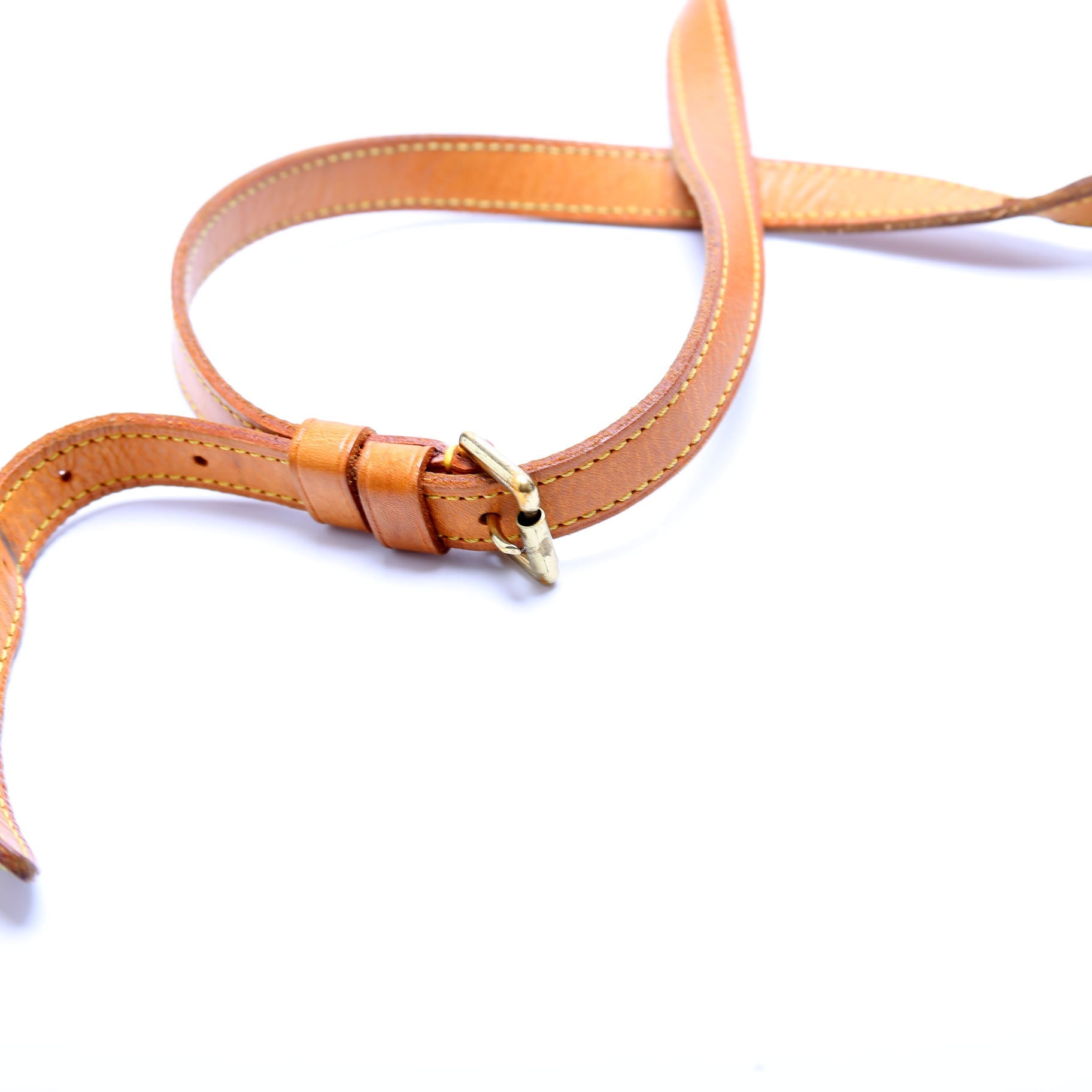 Musette Salsa Long Monogram