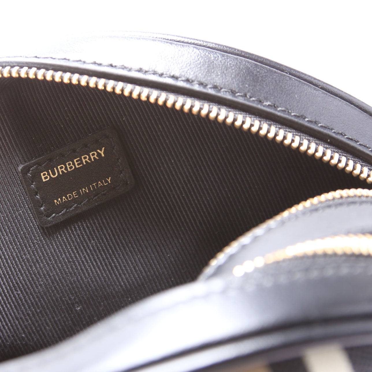 Louise Icon Stripe E-Canvas Crossbody