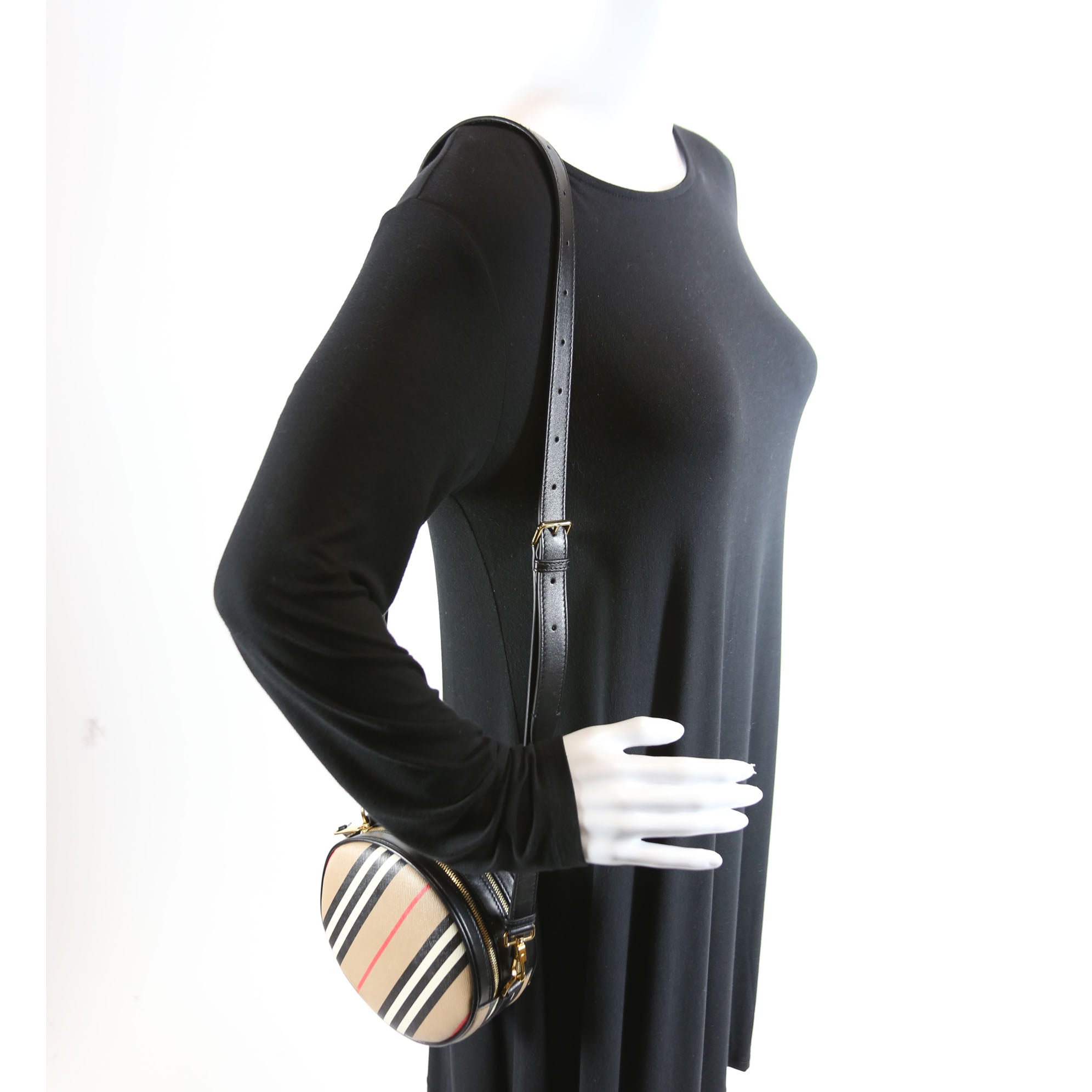 Louise Icon Stripe E-Canvas Crossbody