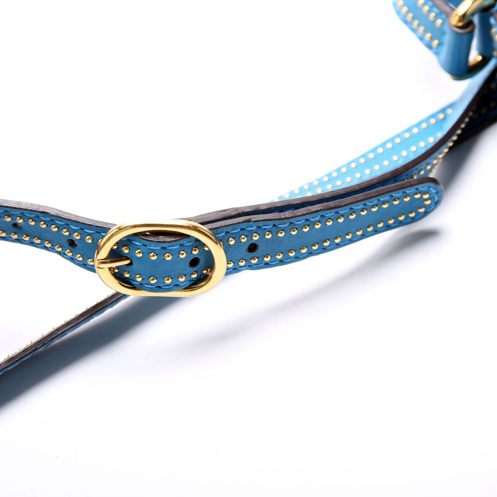 263956 Snaffle Bit Small Shoulder Blue