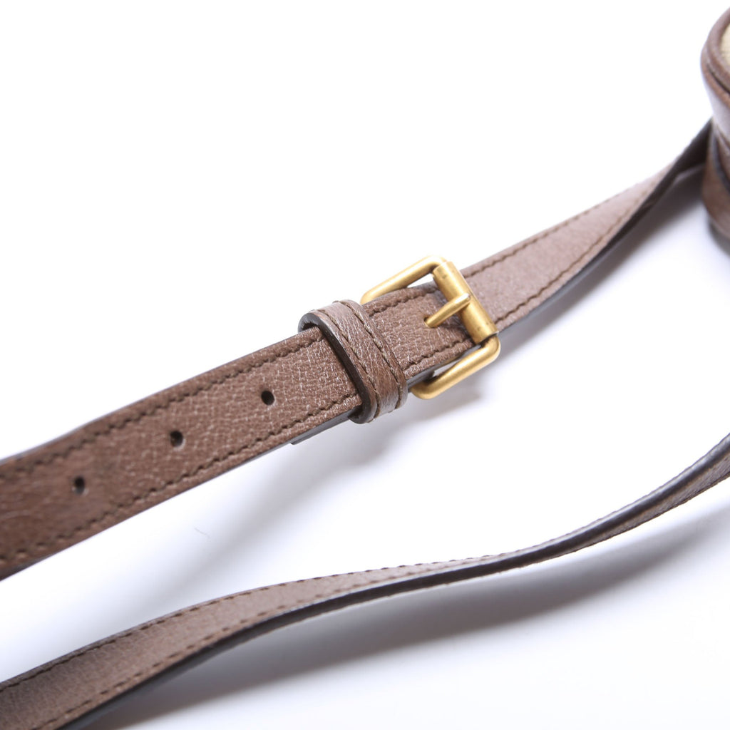 547926 Ophidia Messenger Brown