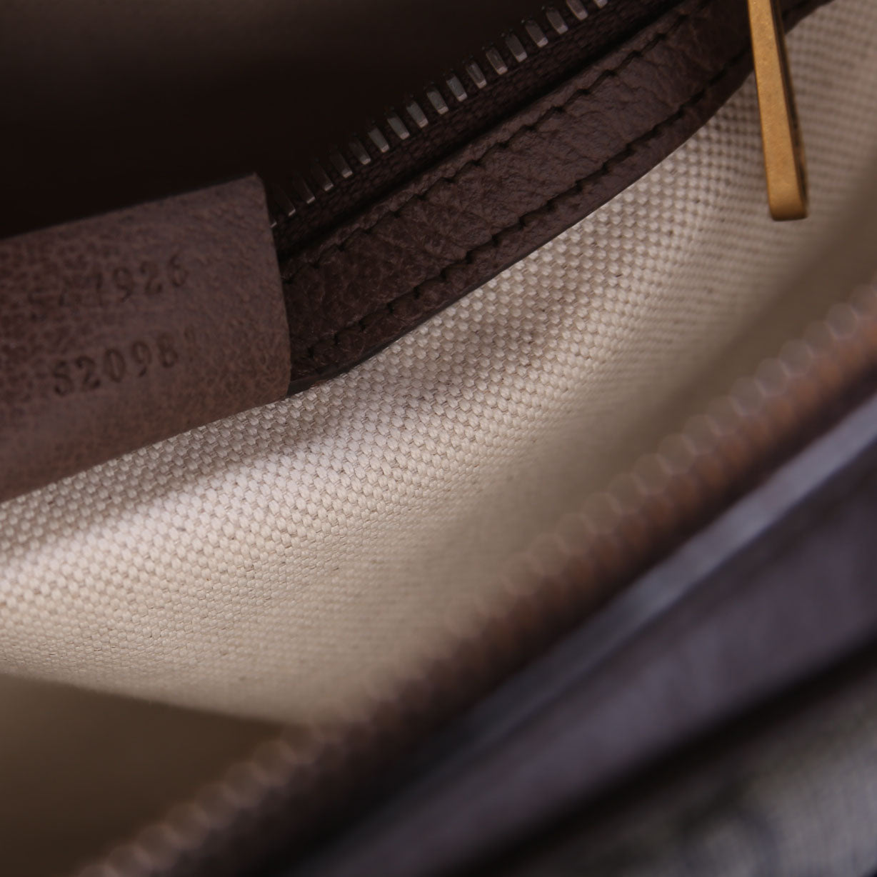 547926 Ophidia Messenger Brown